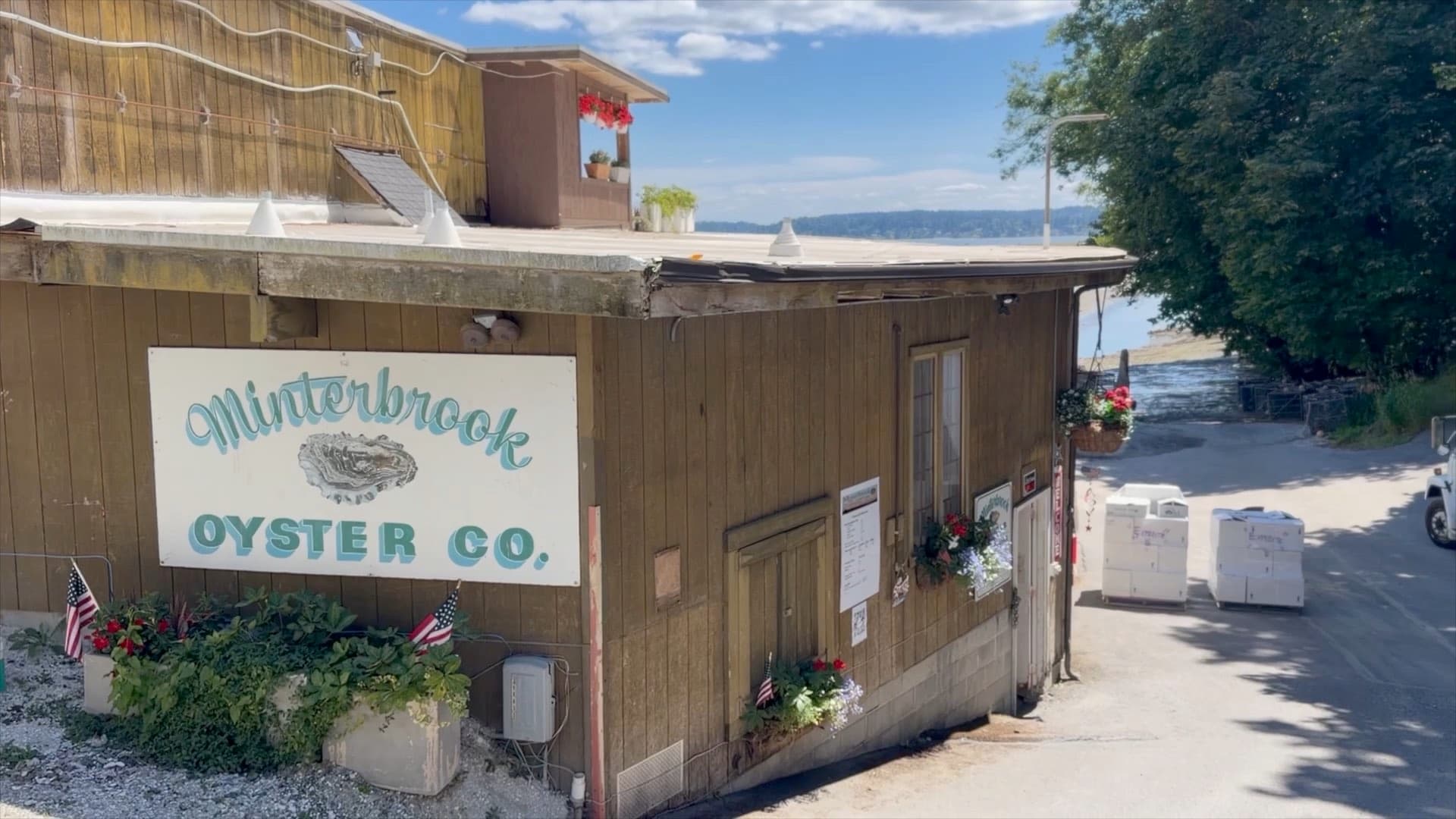 Minterbrook Oyster Company